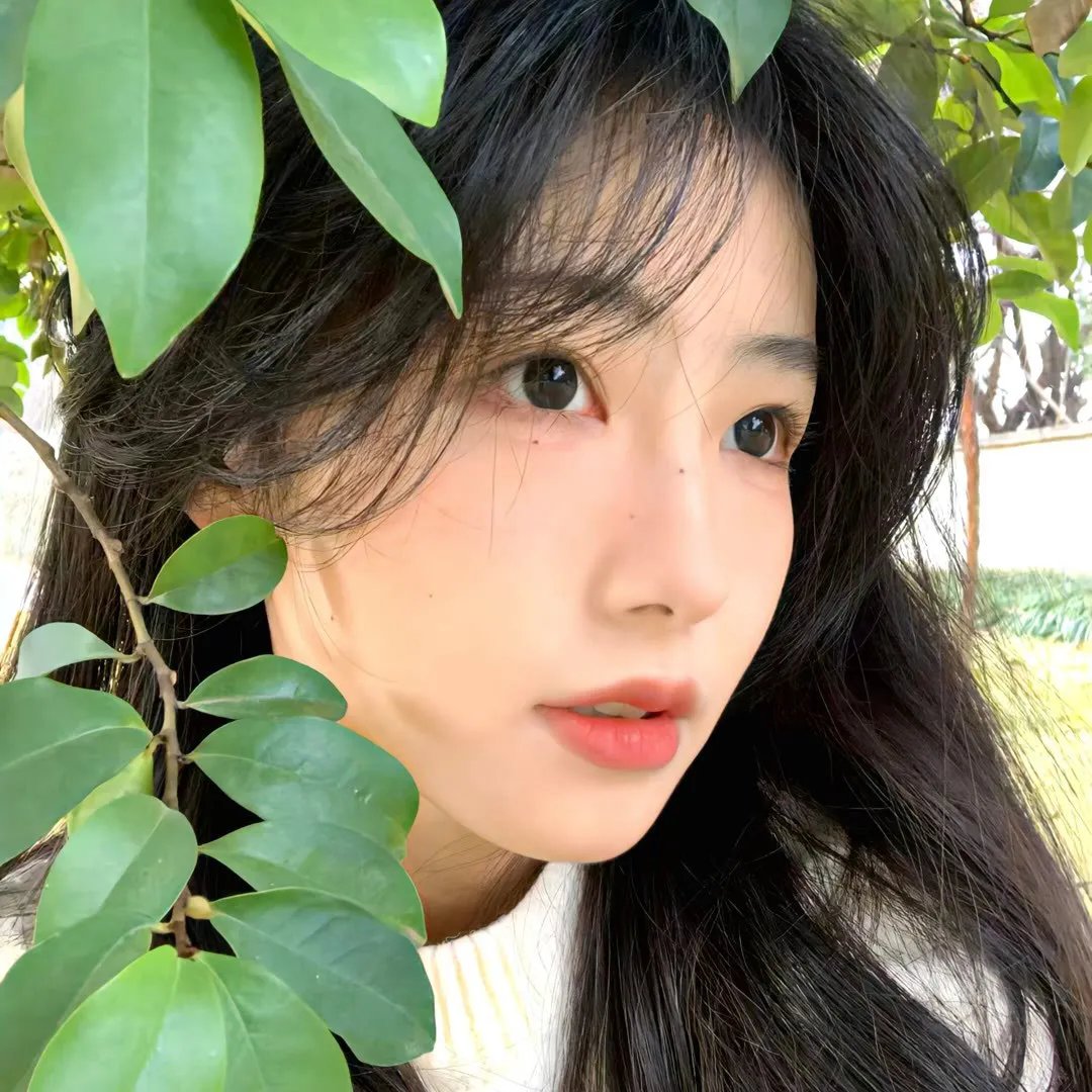 梦中歌